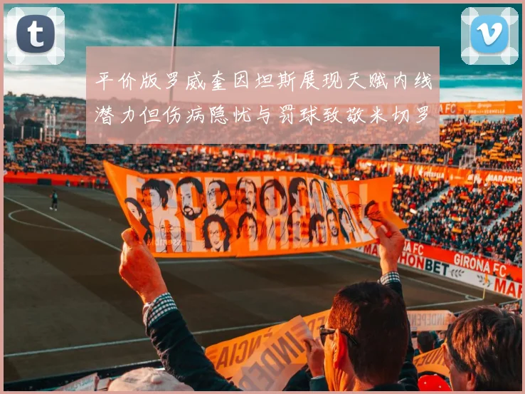 平价版罗威奎因坦斯展现天赋内线潜力但伤病隐忧与罚球致敬米切罗